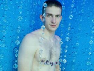 Felixgunn