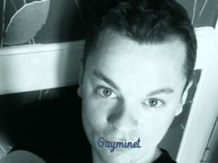 Gayminet