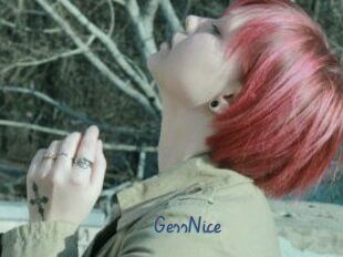 GessNice