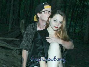GingerSnowBunny