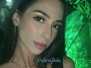 Gatasafada