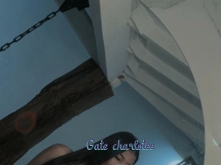 Gate_charlotee
