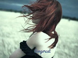 Gingercat