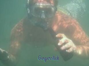 Gingerstick