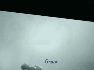Graco