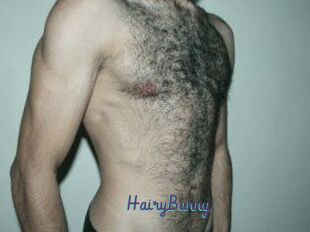 HairyBunny