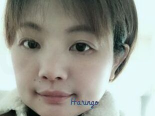 Haringo