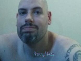 Henry_Maze