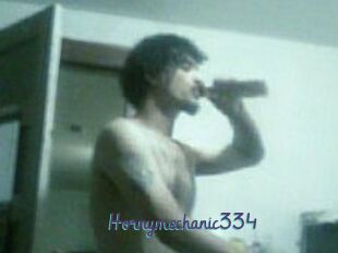 Hornymechanic334