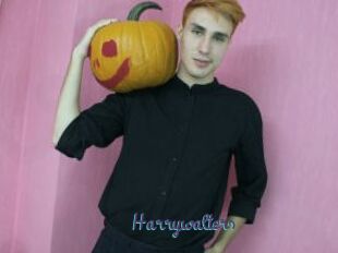 Harrywalters