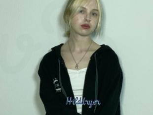 Hilddryer