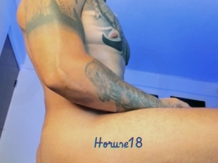 Horuse18