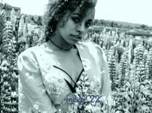Indigo_22