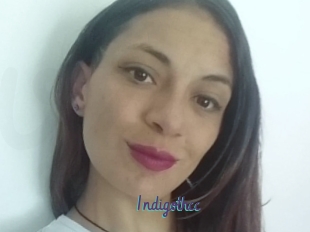 Indigothcc