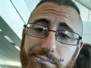 Jakesbigsnake