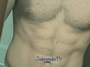 Jakesnake14