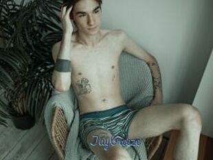 Jaybreeze
