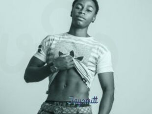 Jaysmitt
