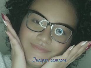 Juniper_camrose
