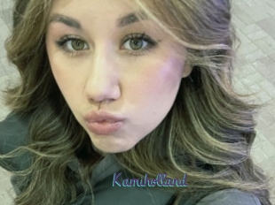Kamiholland