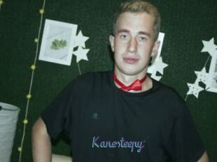 Kanesteepy
