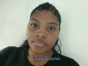 Karalamarin