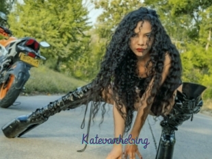 Katevanhelsing