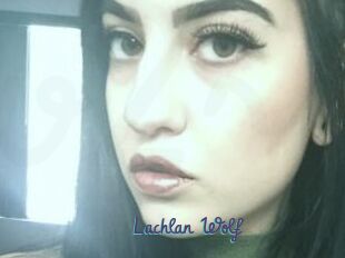 Lachlan_Wolf