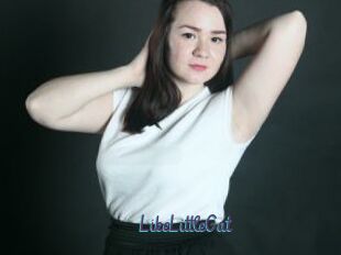LikeLittleCat