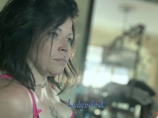 Ladyvelvet