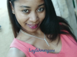 Laylahmorgane