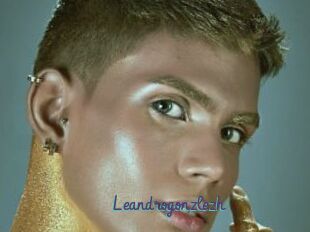 Leandrogonzlezh