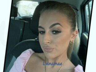 Leinamae