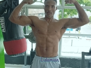 Lidamian