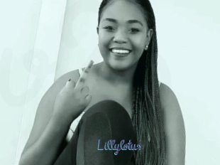 Lillylotus