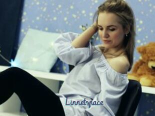 Linnetspace
