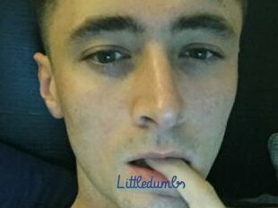 Littledumbs