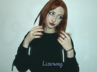 Lizaswag