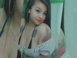 Lizhorney