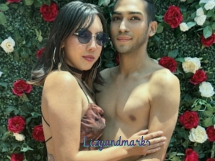 Lizyandmarks
