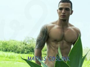 MATIUS_COSLINK