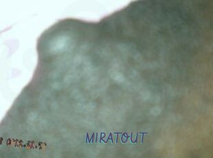 MIRATOUT