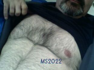 MS2022