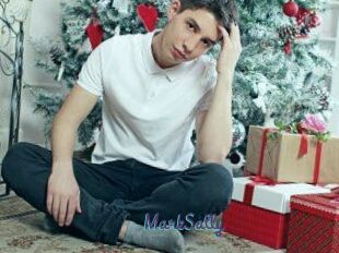 MarkSally