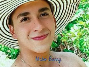 Mateo_Bunny