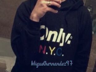 Miguel_hernandez97
