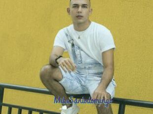 MikeSantodomingo