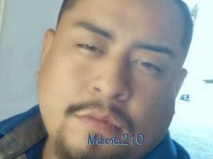 Mikesta210