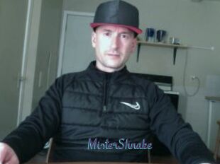 MisterShnake