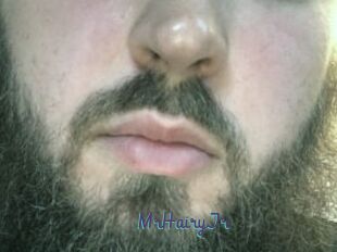 MrHairyJr